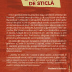 Bolocan-Silvana_Labirintul-de-sticla-eb