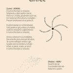 Dinga-Emil_Studii-lirice-Vol-2-eb