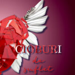 Cioburi de suflet Vol II