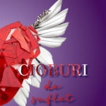 Cioburi de suflet Vol III