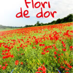 Flori de dor