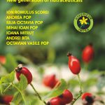 Scorei-Ion-Romulus_Borul-organic-Noua-generatie