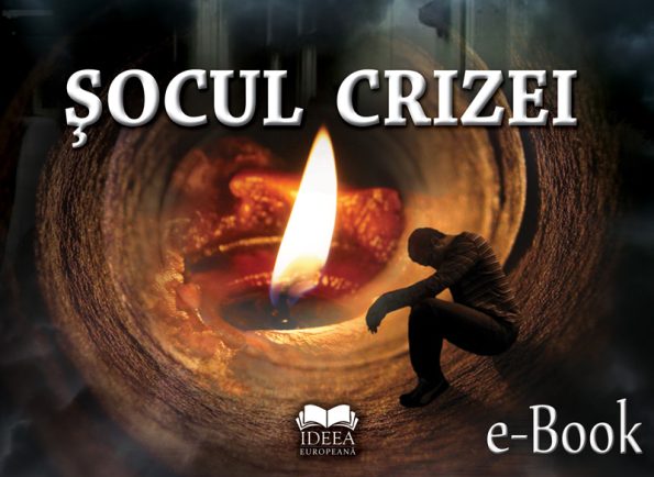 Șocul crizei (eBook)